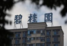 碧桂园业绩出炉，债务重组近了？-程序员中文网