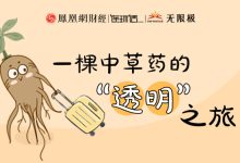 一棵中草药的“透明”之旅-程序员中文网