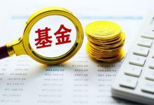 中东主权财富基金这一轮如何调仓？仓位最重的基金持仓已近90亿-程序员中文网