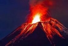 猛涨超30%！301008火了，多家机构调研-程序员中文网