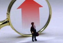 8.1%！社保基金2024年投资成绩单来了-程序员中文网