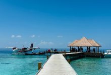 全世界都知道中国人放假了，马尔代夫有酒店超50%是中国客人-程序员中文网