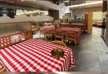 直击西贝“失血”调改：厨师长频频开会，后厨更忙了，餐厅更空了-程序员中文网