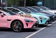 年轻人“整顿”婚车市场：不爱BBA了？新能源车队订单暴增-程序员中文网