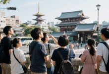 每天200万人出境游，都去了哪里？-程序员中文网